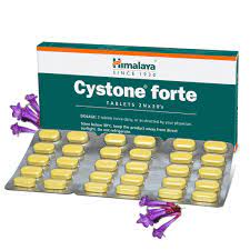 CYSTONE FORTE TAB 30 TAB